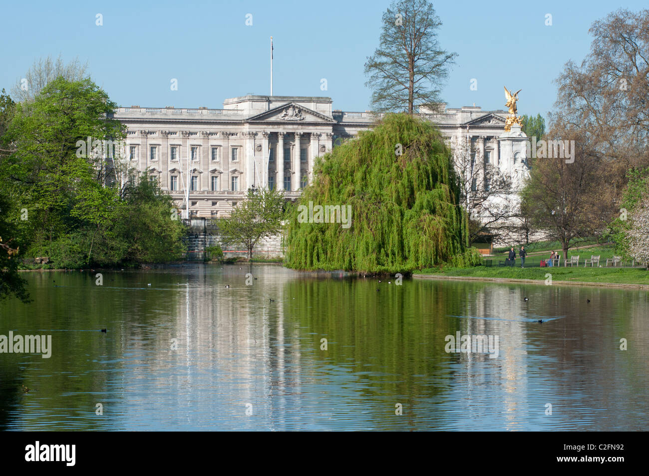 Buckingham-Palast von St. James Park-See. London. England. Stockfoto