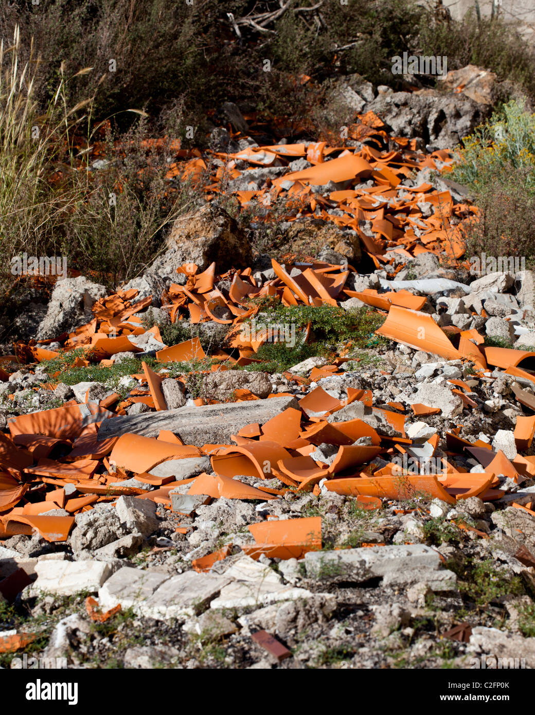 Fliege-bestückte Bauschutt verderben die Landschaft Stockfoto