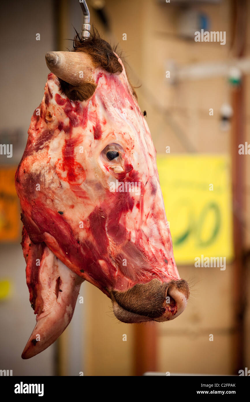 Eine Kühe Kopf hängt ein Metzger Zähler, sizilianisches Marktes Palermo Sizilien Italien Stockfoto