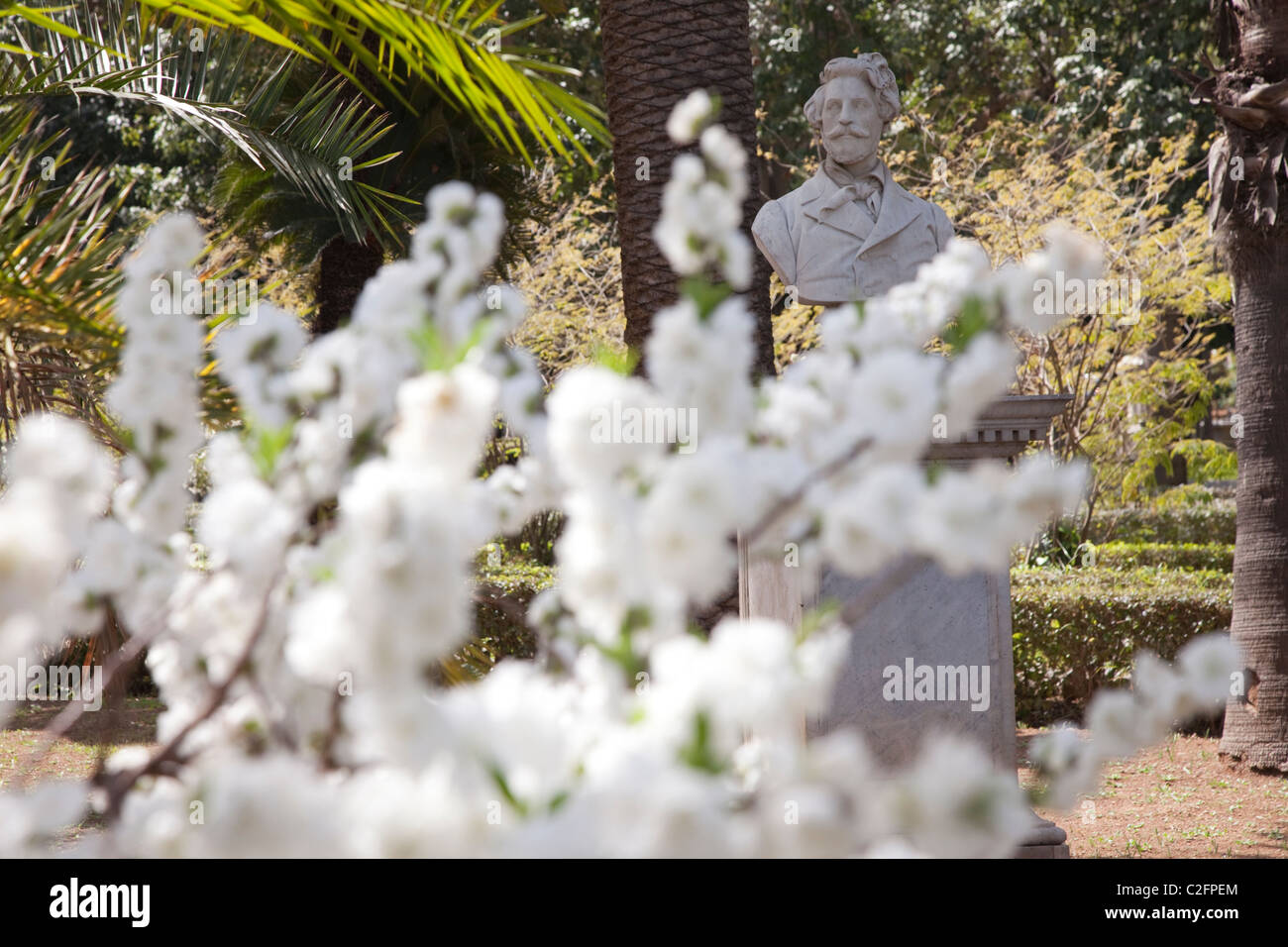 Der Botanische Garten Palermo Sizilien Italien Stockfoto