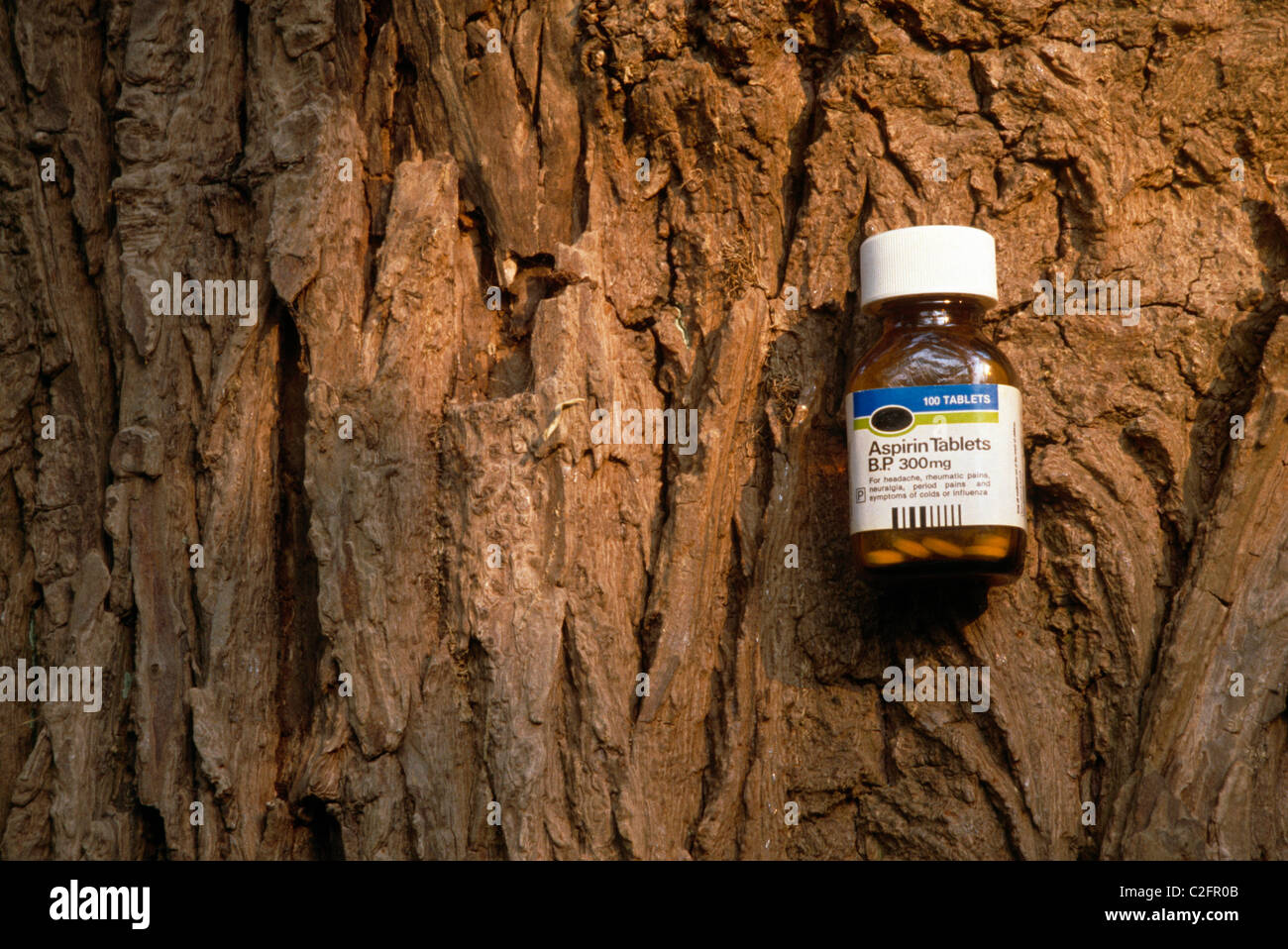 Weidenrinde und Aspirin Stockfoto