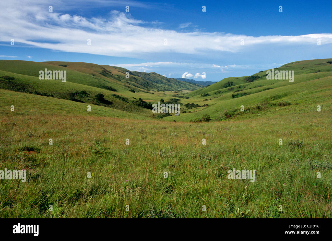 Nyika Nationalpark Malawi Stockfoto