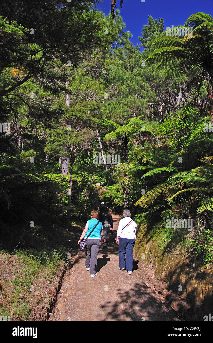 Wanderweg nach Cathedral Cove Beach, Te Whanganui-A-Hei Marine Reserve, Coromandel Peninsula, Region Waikato, Neuseeland Stockfoto