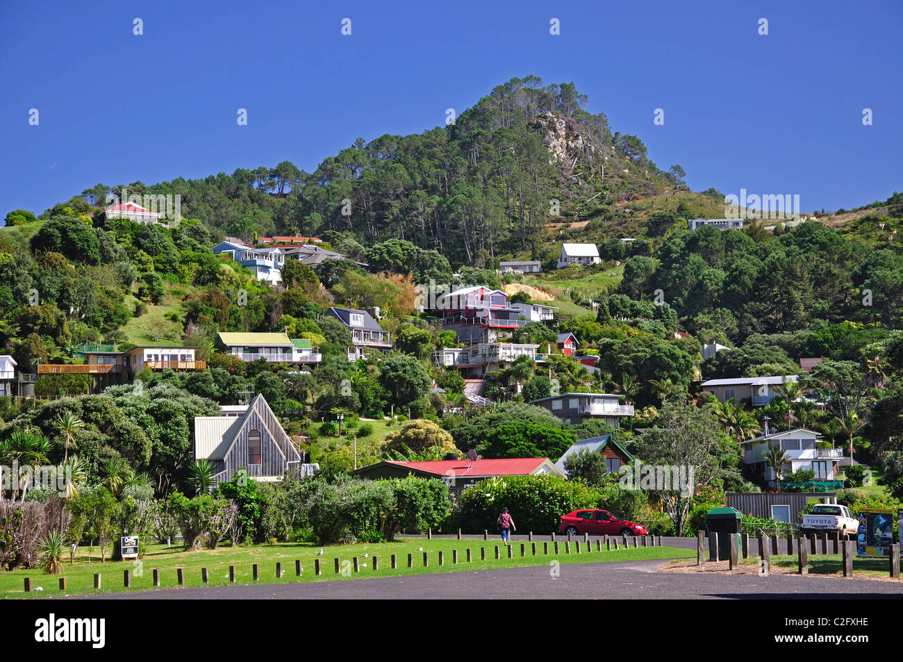 Ansicht des Village, Hahei, Coromandel Halbinsel, Waikato Region, Nordinsel, Neuseeland Stockfoto