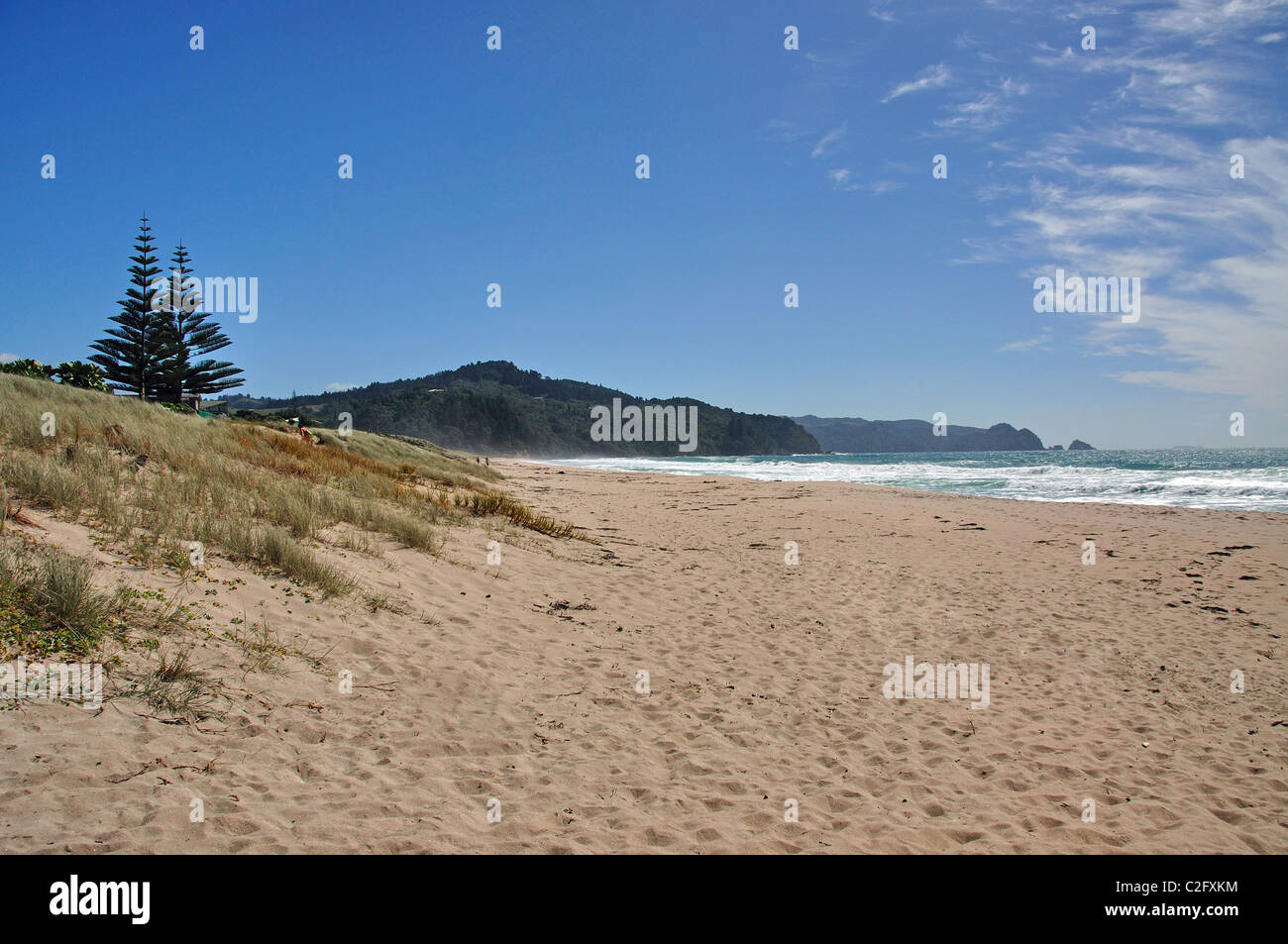 Tairua Beach, Tairua, Coromandel Halbinsel, Waikato Region, Nordinsel, Neuseeland Stockfoto