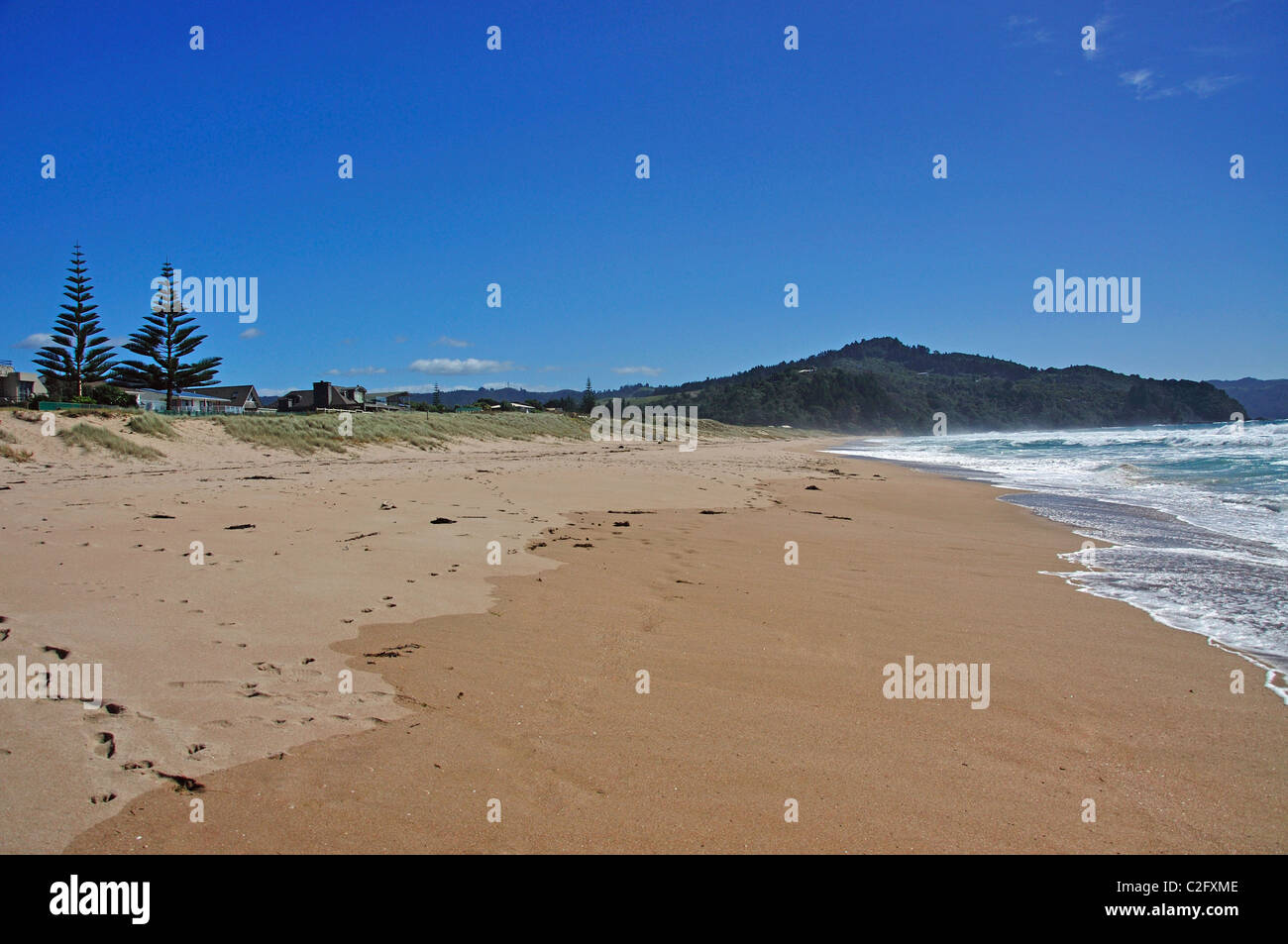 Tairua Beach, Tairua, Coromandel Halbinsel, Waikato Region, Nordinsel, Neuseeland Stockfoto