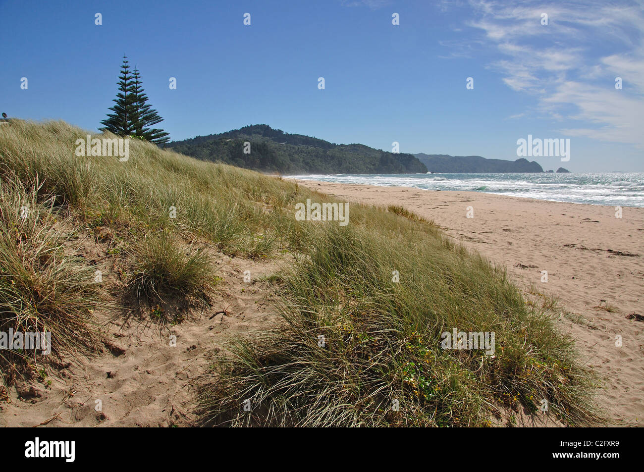 Tairau Beach, Tairua, Coromandel Halbinsel, Waikato Region, Nordinsel, Neuseeland Stockfoto