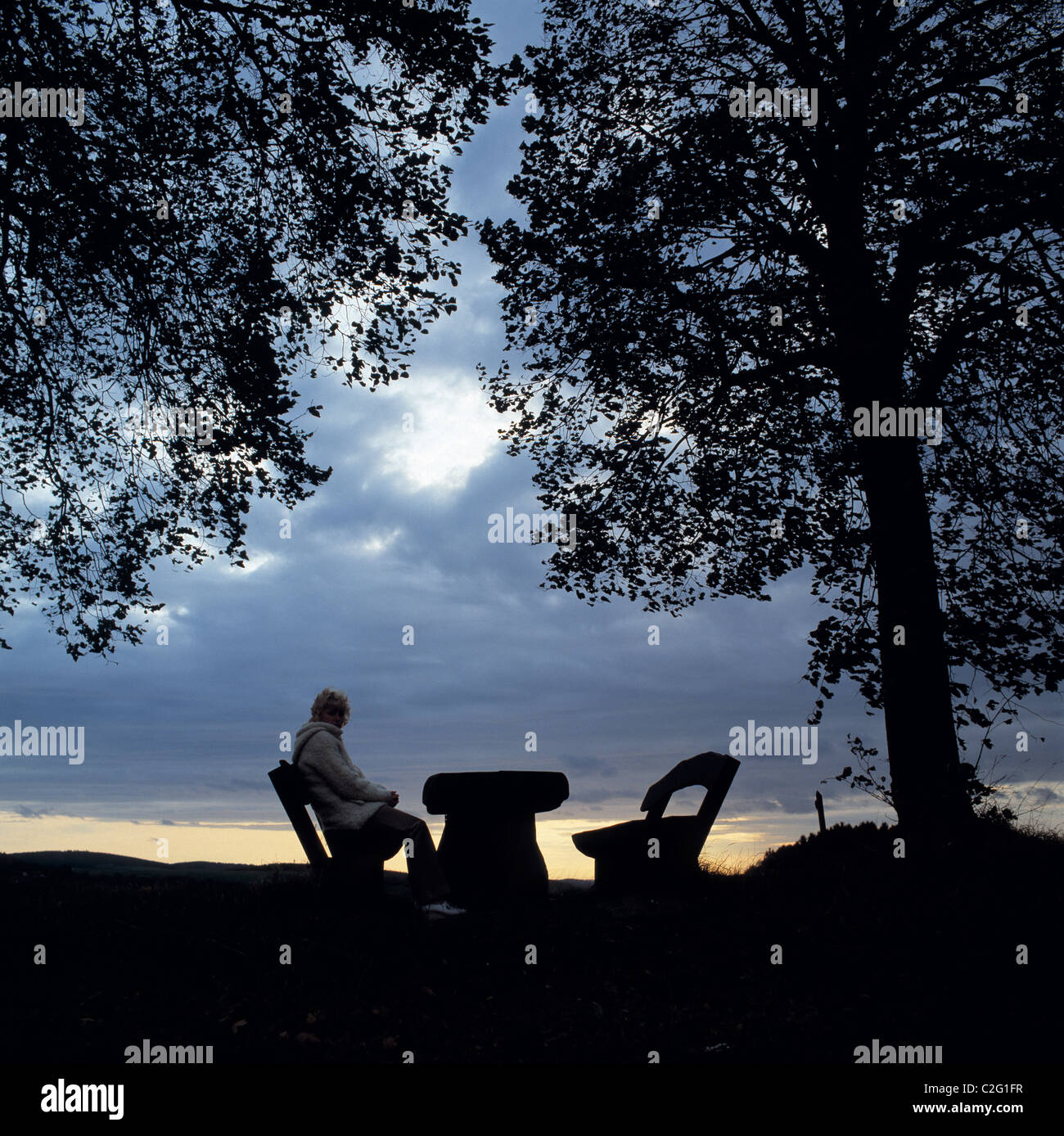 Achtziger Jahre, Symbolik, Einsamkeit, junge Frau sitzt auf einer Bank unter einem Baum, einer anderen Bank ist frei, vakanten Sitz, Tisch, Abendstimmung, Sonnenuntergang, dunkle Wolken, Hintergrundbeleuchtung, Silhouette, im Alter von 25 bis 35 Jahre, Elizabeth, Bergisches Land, Nordrhein-Westfalen, NRW Stockfoto