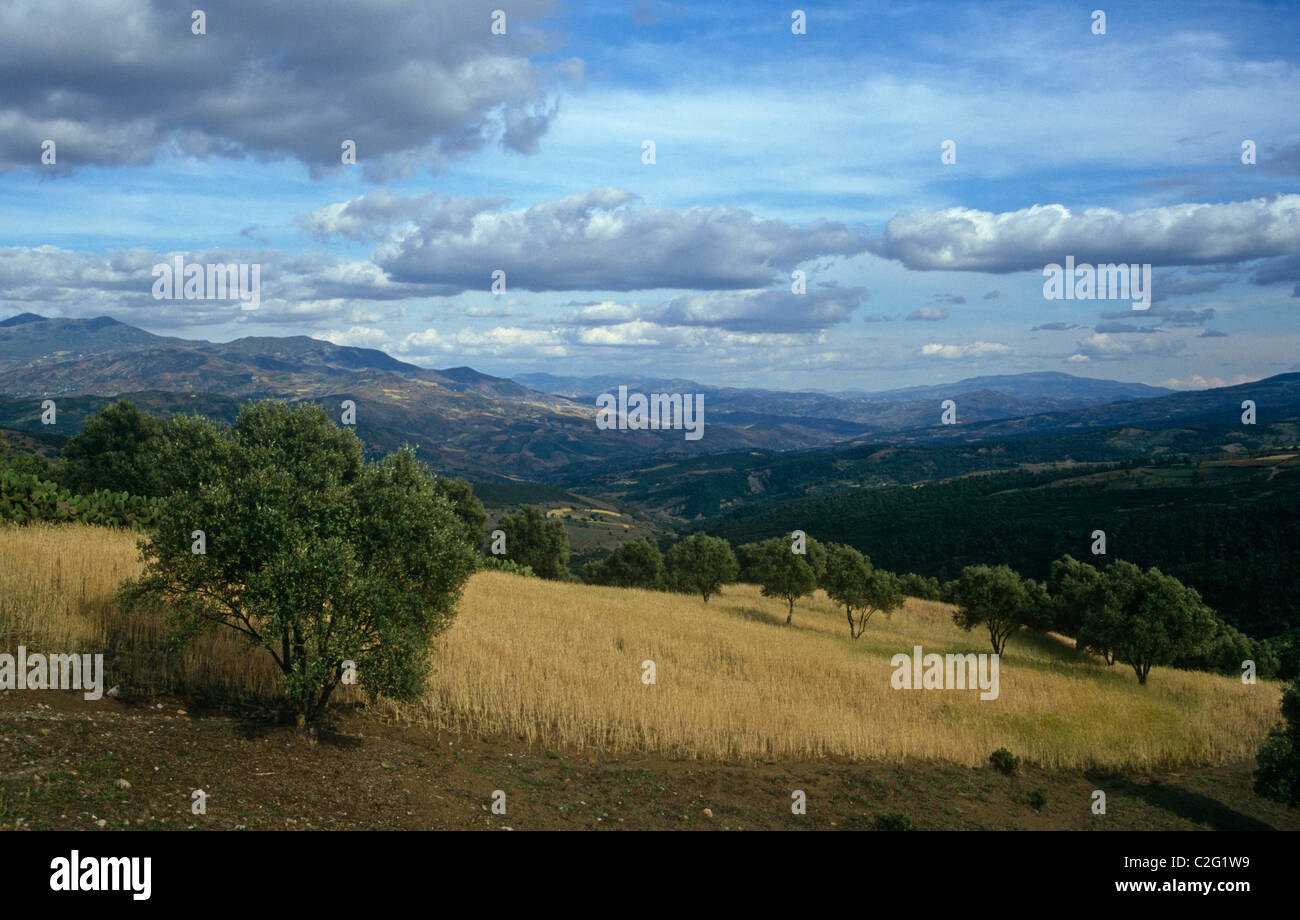 Landschaft-Rif-Gebirge-Marokko Stockfoto