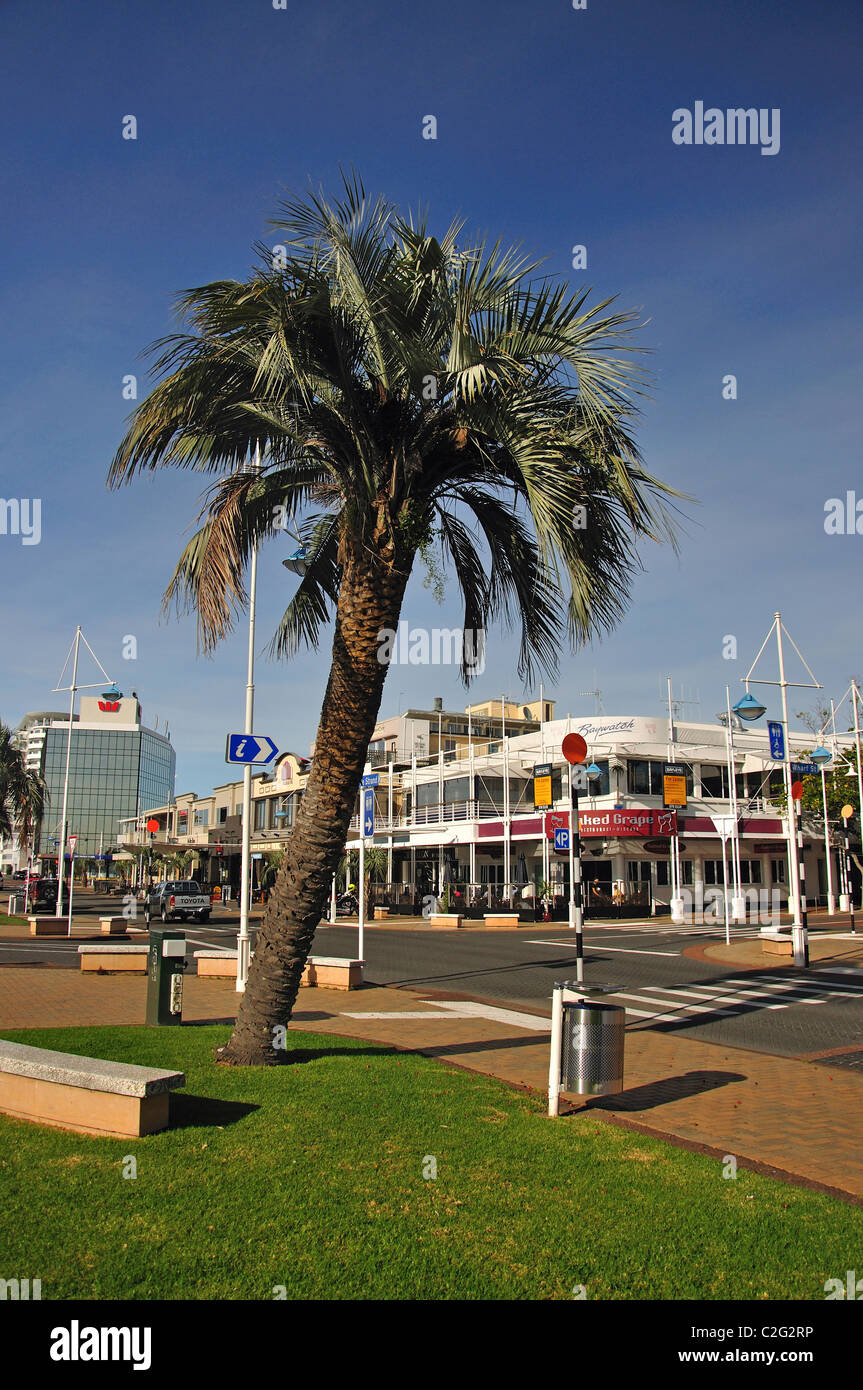 Der Strang, Tauranga, Bay of Plenty Region, Nordinsel, Neuseeland Stockfoto