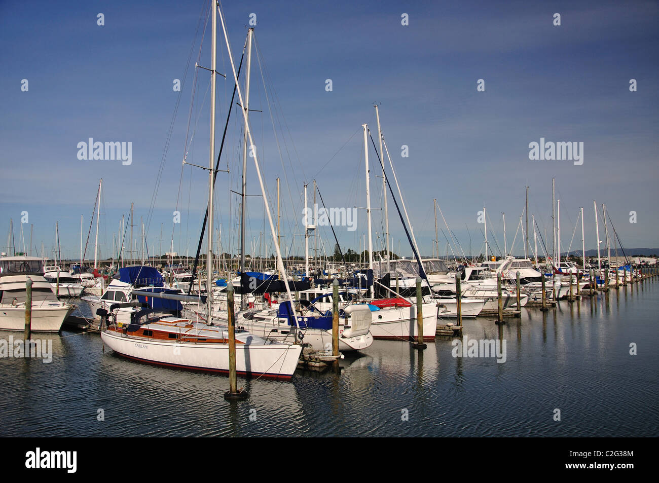 Yacht Marina, Hafen von Tauranga von Mount Maunganui, Tauranga, Bay of Plenty, North Island, Neuseeland Stockfoto