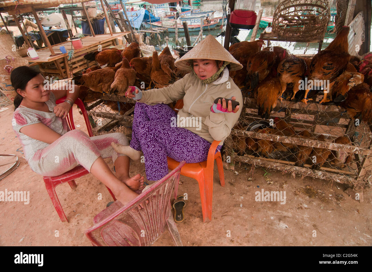 Huhn-Anbieter auf dem Markt auf der Insel Phu Quoc in Vietnam Stockfoto