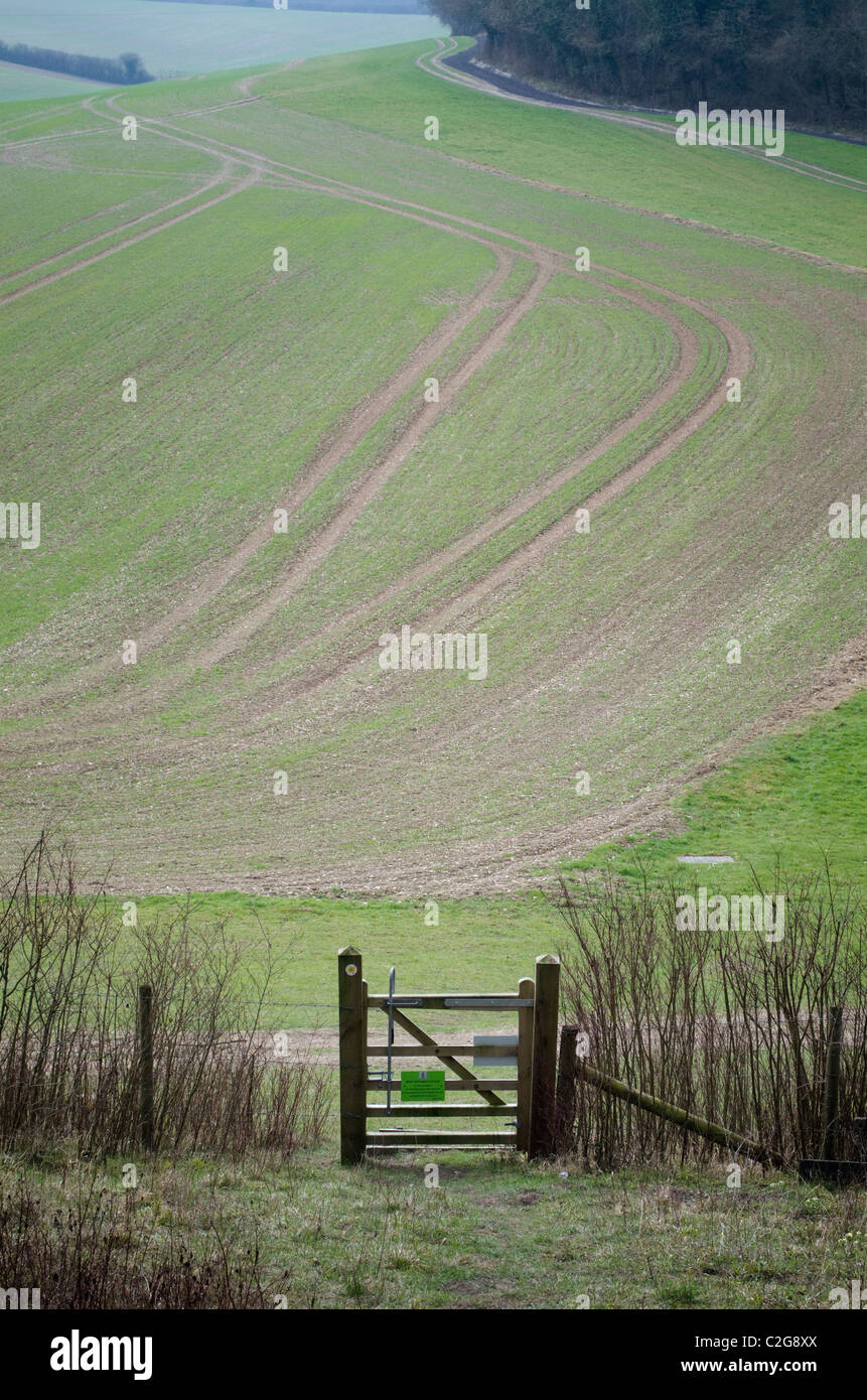 Eine ländliche Gegend Chilterns Landschaftsblick auf ein Tor und ein Feld Teil des Anwesens West Wycombe Park in Dollar UK Stockfoto