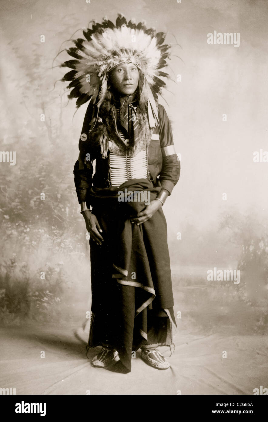 Adler T-Shirt, Sioux Indianer, Stockfoto