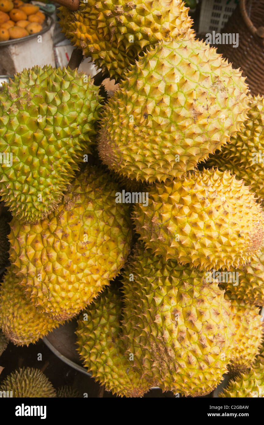 Durian Frucht auf dem Markt auf der Insel Phu Quoc in Vietnam Stockfoto