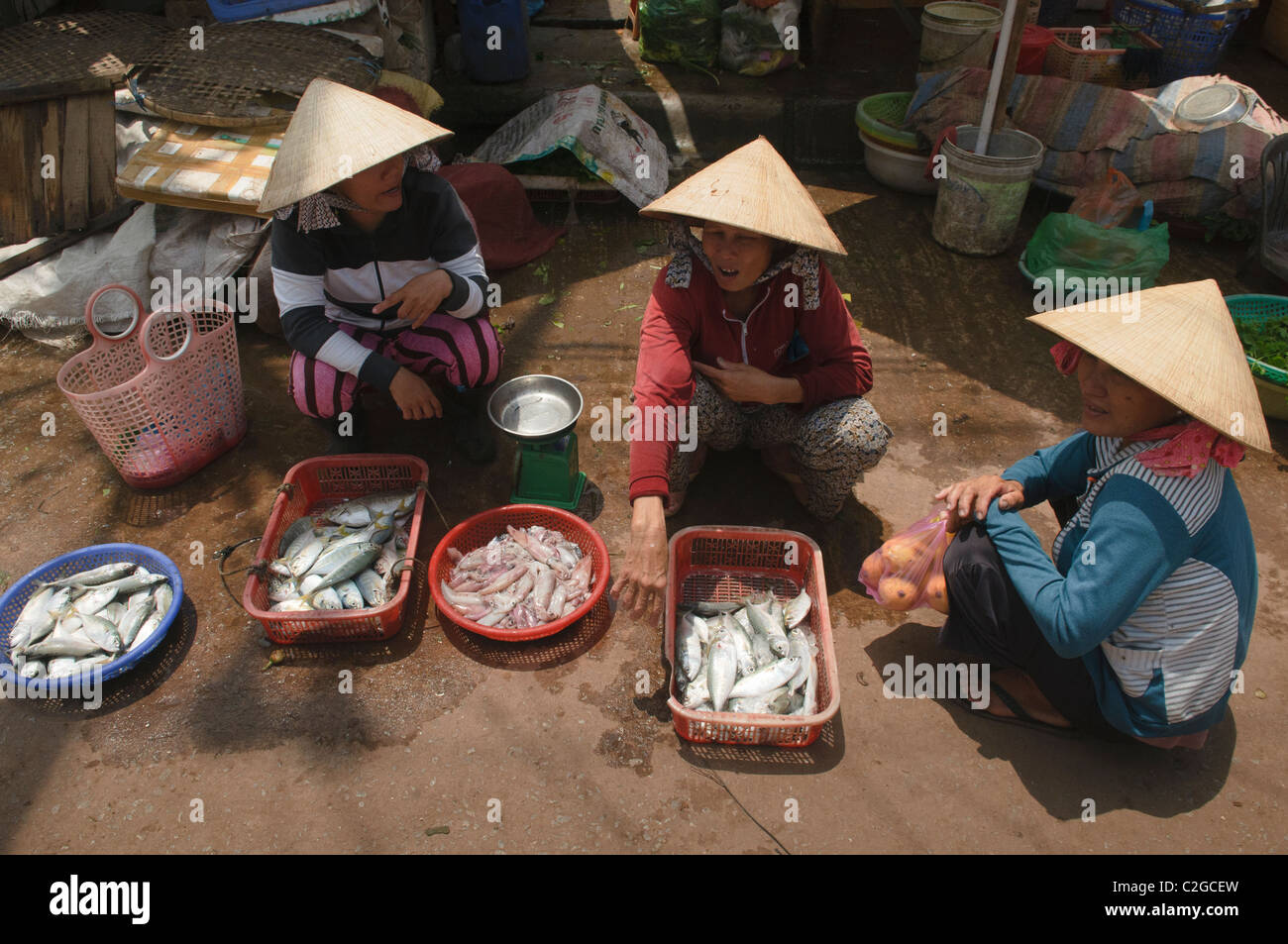 Fisch zum Verkauf auf dem Markt auf der Insel Phu Quoc in Vietnam Stockfoto