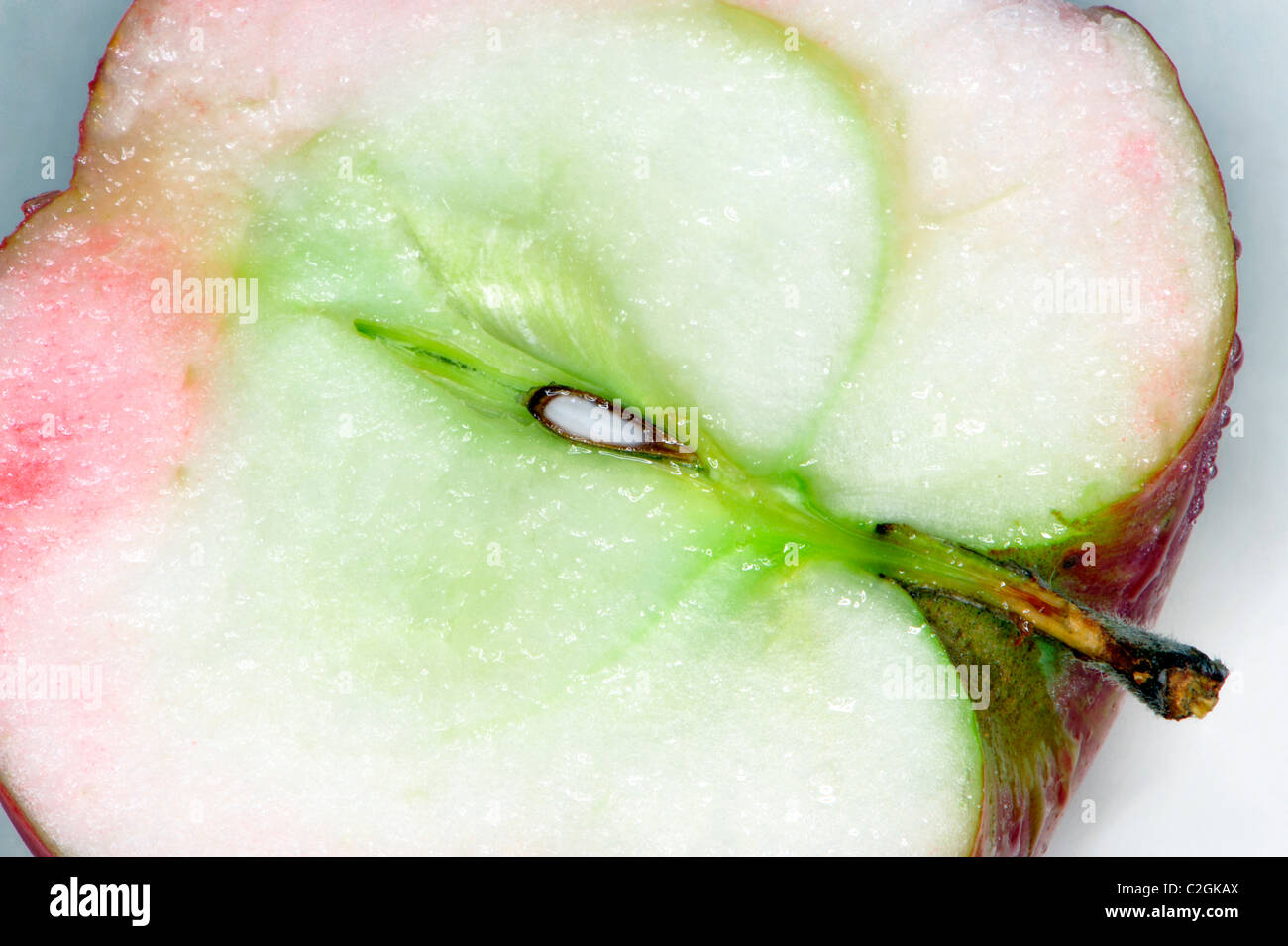 apfel, süß, Farben, Vitamine, Natur, Design, Essen, Natur, Lebensmittel, frisch, halb, gesund, Detail, Grafik, Landwirtschaft, Foto Kazimierz Jurewicz Stockfoto