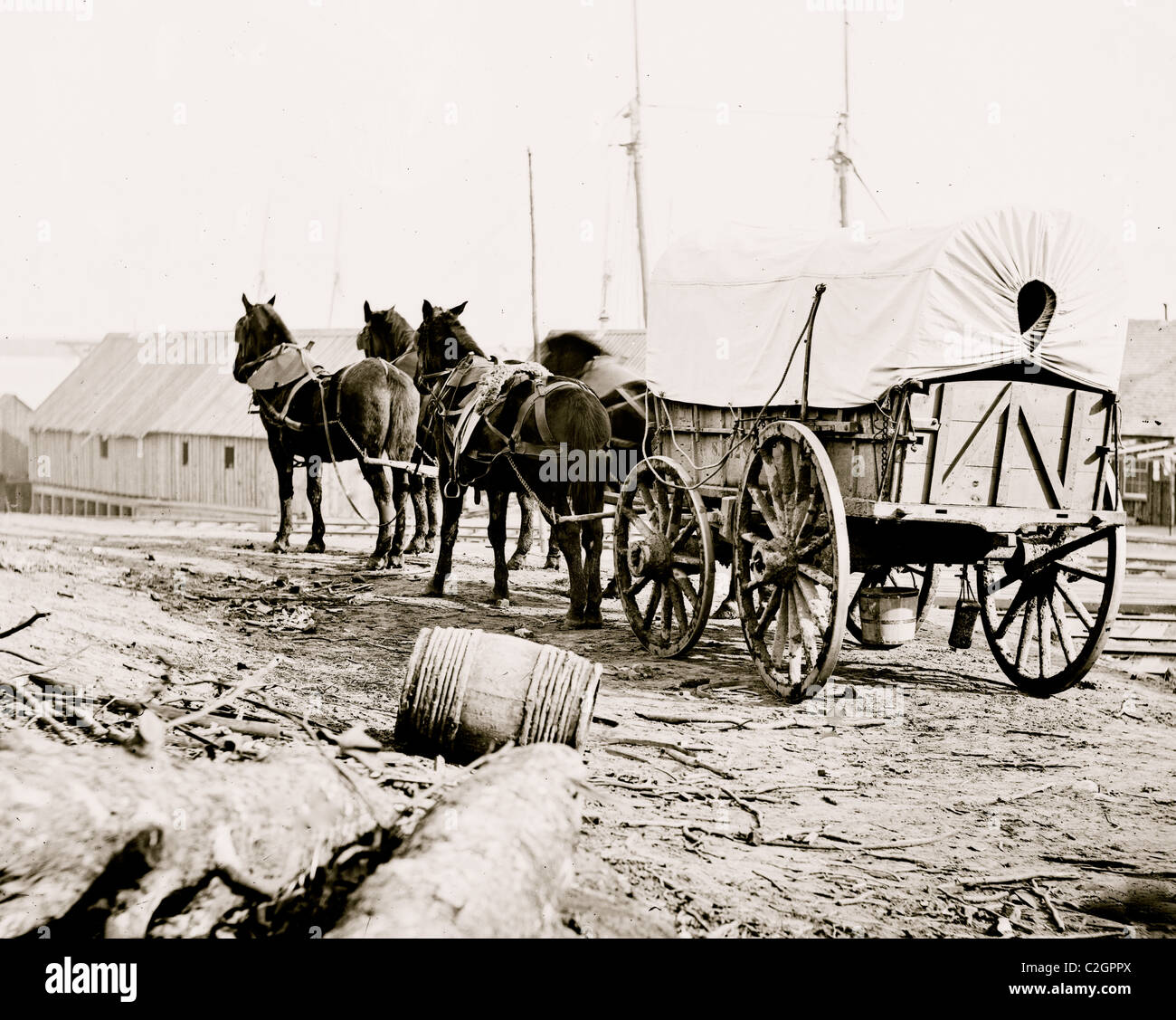 City Point, Virginia (Umgebung). Vier-Mule Militärmannschaft und Wagen Stockfoto