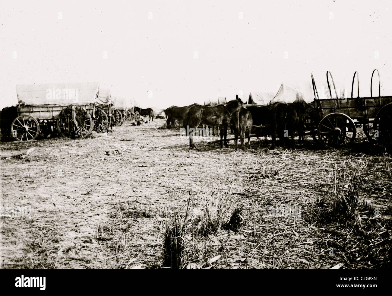 Savannah, Georgia (Umgebung). Wagenzug geparkt in der Nähe von Savannah Stockfoto