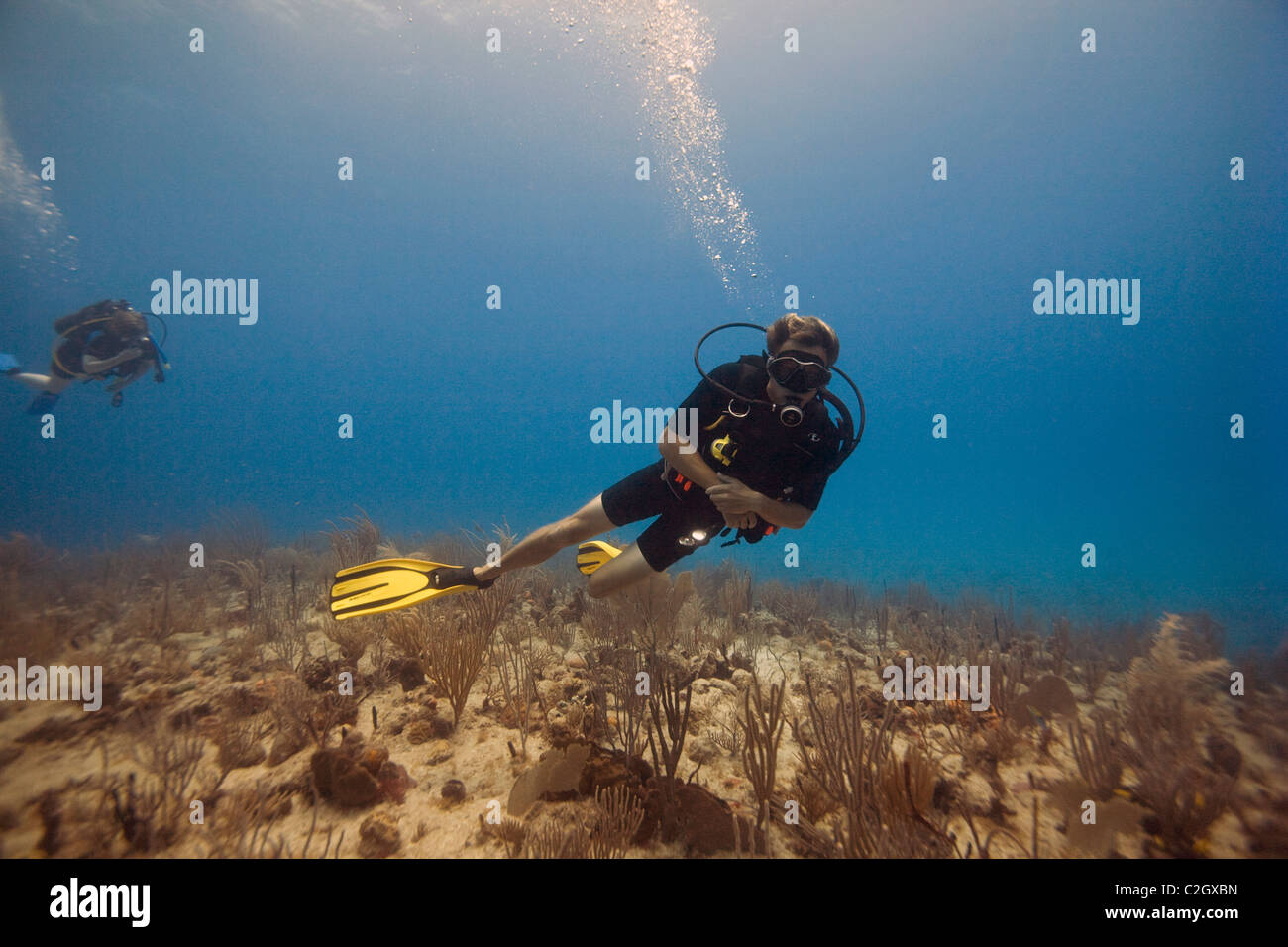 Zwei Taucher genießt einen entspannten Tauchgang im karibischen Meer in der Nähe von English Harbour, Antigua. Stockfoto