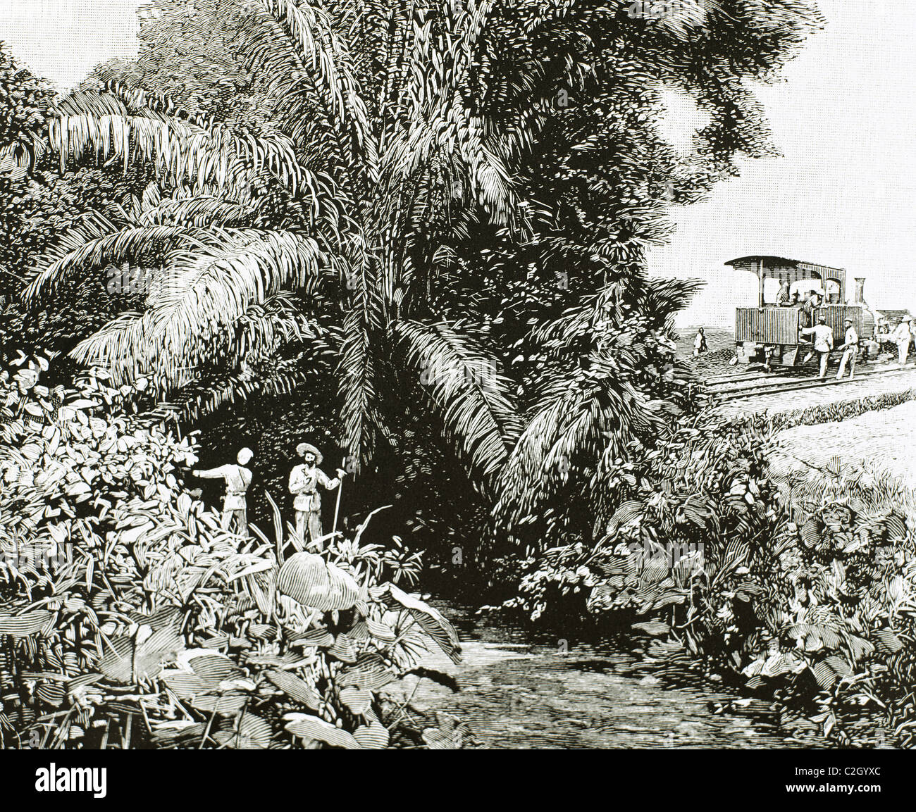 Afrika. Kongo. Bau der Eisenbahn im Gebiet von Belgien besiedelt. Gravur im Jahre 1892. Stockfoto