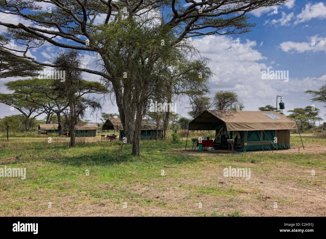 Zelten in der Wildnis von Luxus Mobile Safari eher Camp, Serengeti, Tansania, Afrika Stockfoto