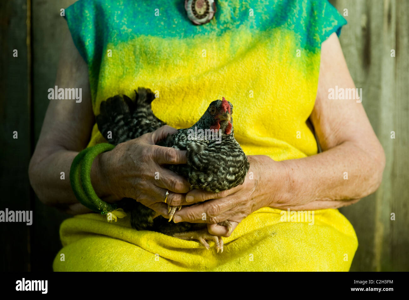 86 Jahre stilvolle Frau sitzt auf dem Stuhl und hält ein Huhn Stockfoto
