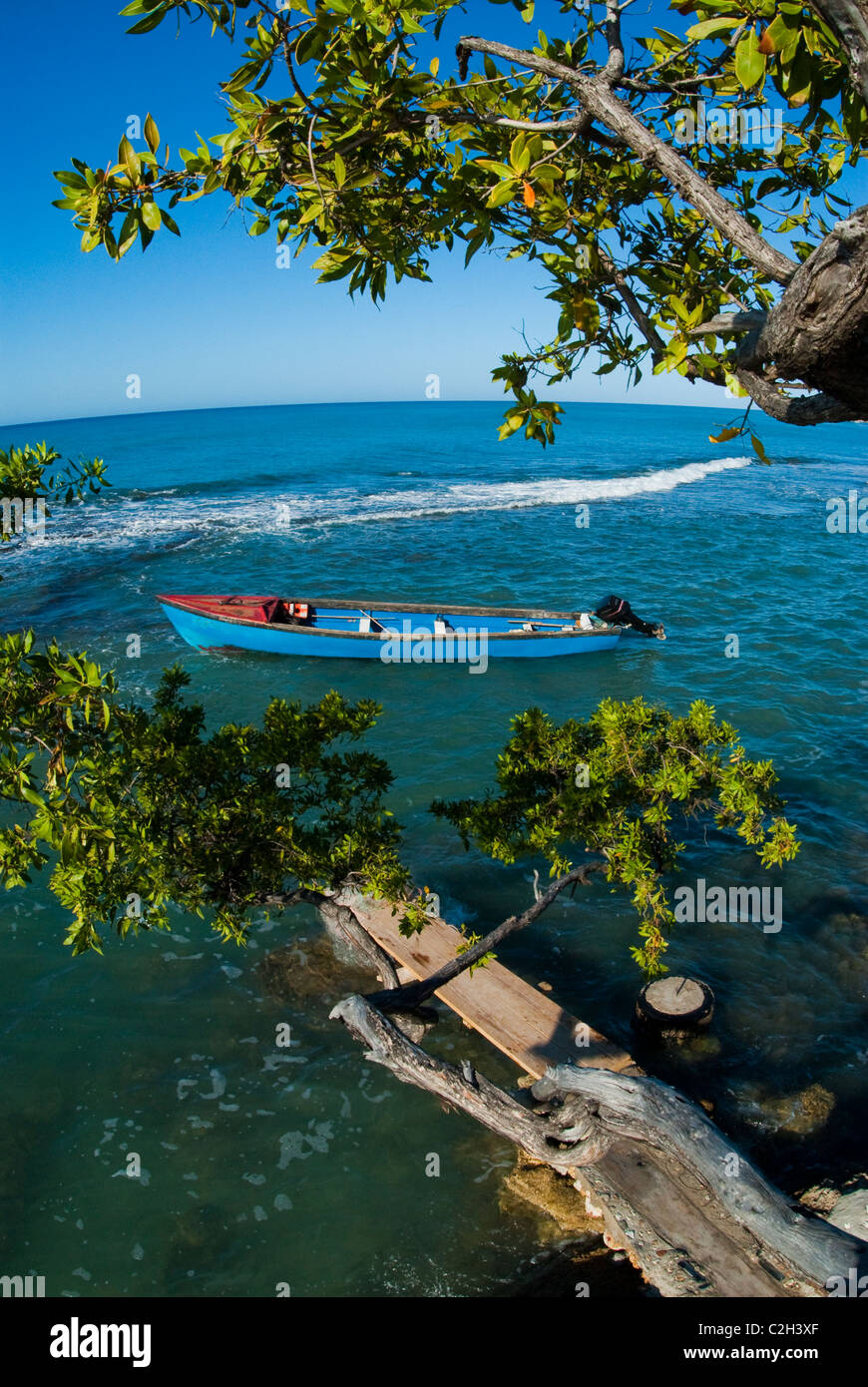 Angelboot/Fischerboot verankert in Frenchman es Bay in Treasure Beach, mit behelfsmäßigen Dock und Baum im Vordergrund, St. Elizabeth, Jamaika Stockfoto