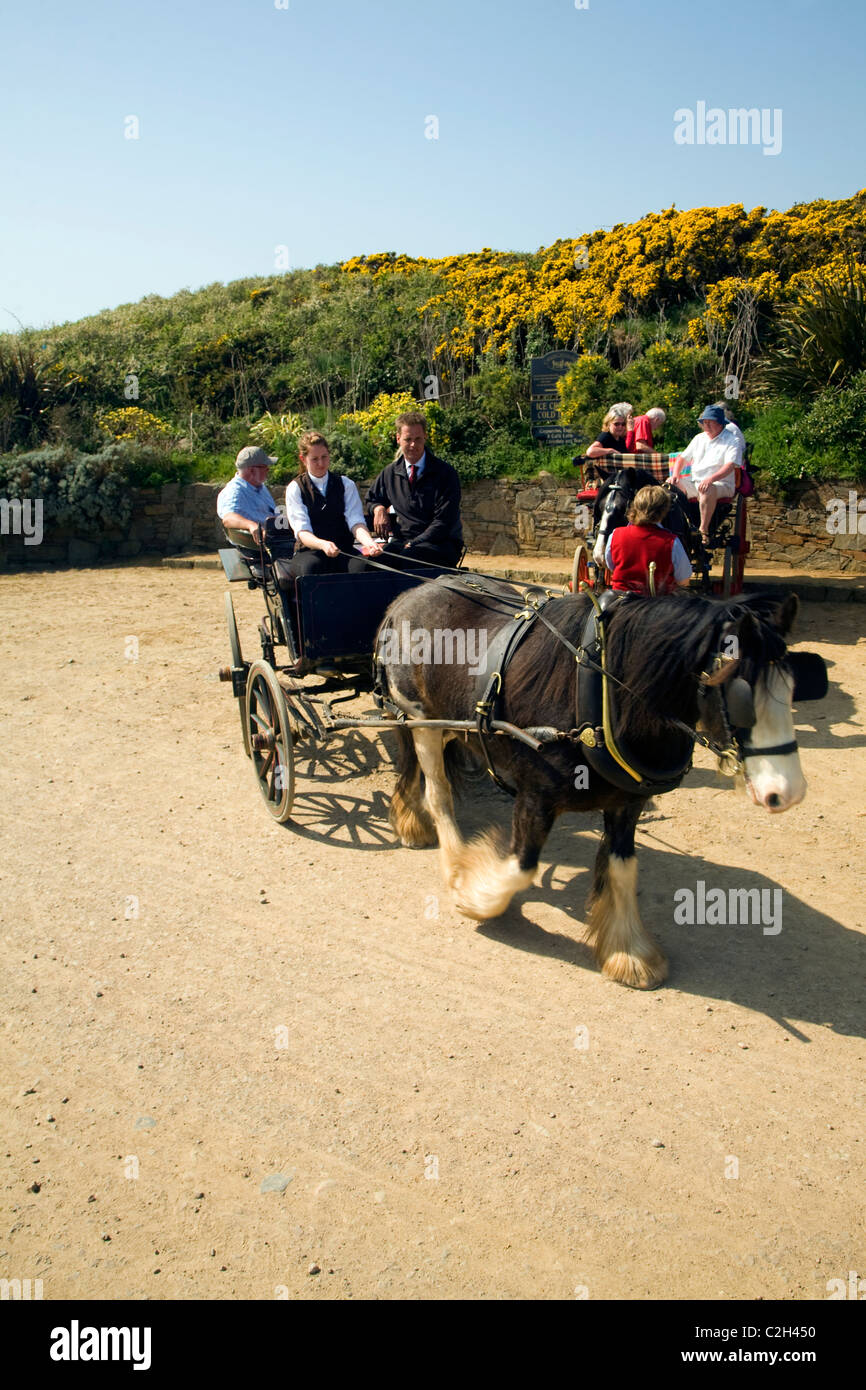Touristen-Pferdekutschen Insel Sark Kanalinseln Stockfoto