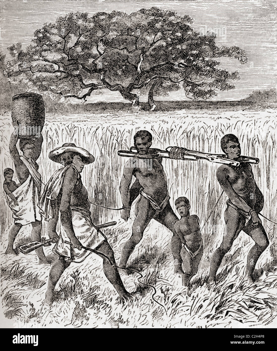 Sklave im 19. Jahrhundert in Afrika fahren. Stockfoto
