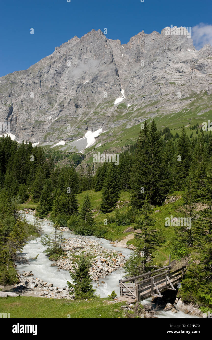 Ein Gebirgsbach fließt durch die Lauterbrunnen Tal, Schweiz Stockfoto