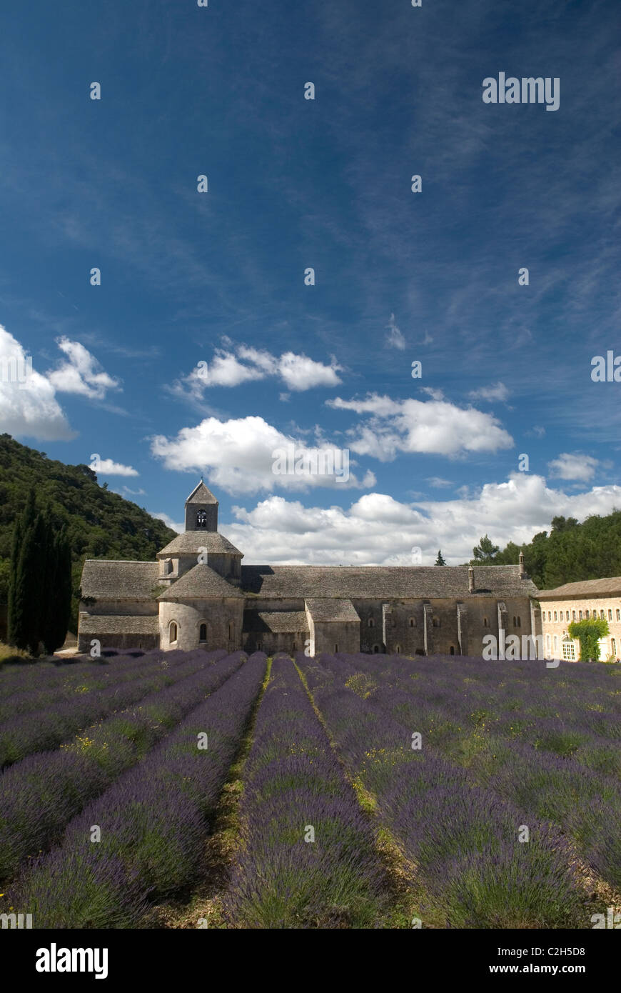 Abbaye De Senanque Provence Frankreich Stockfoto