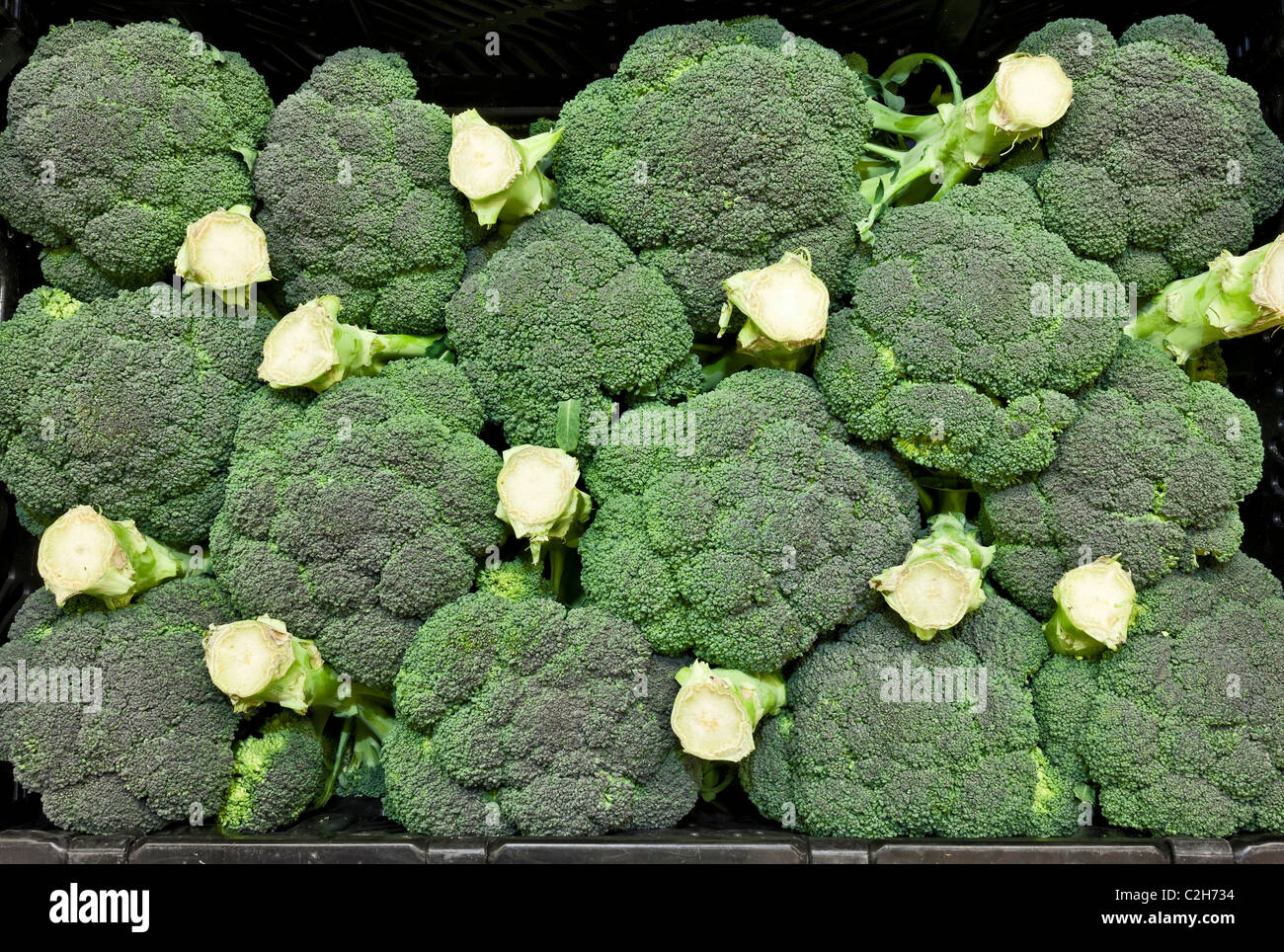 Anzeige der Brokkoli in einem Supermarkt Stockfoto