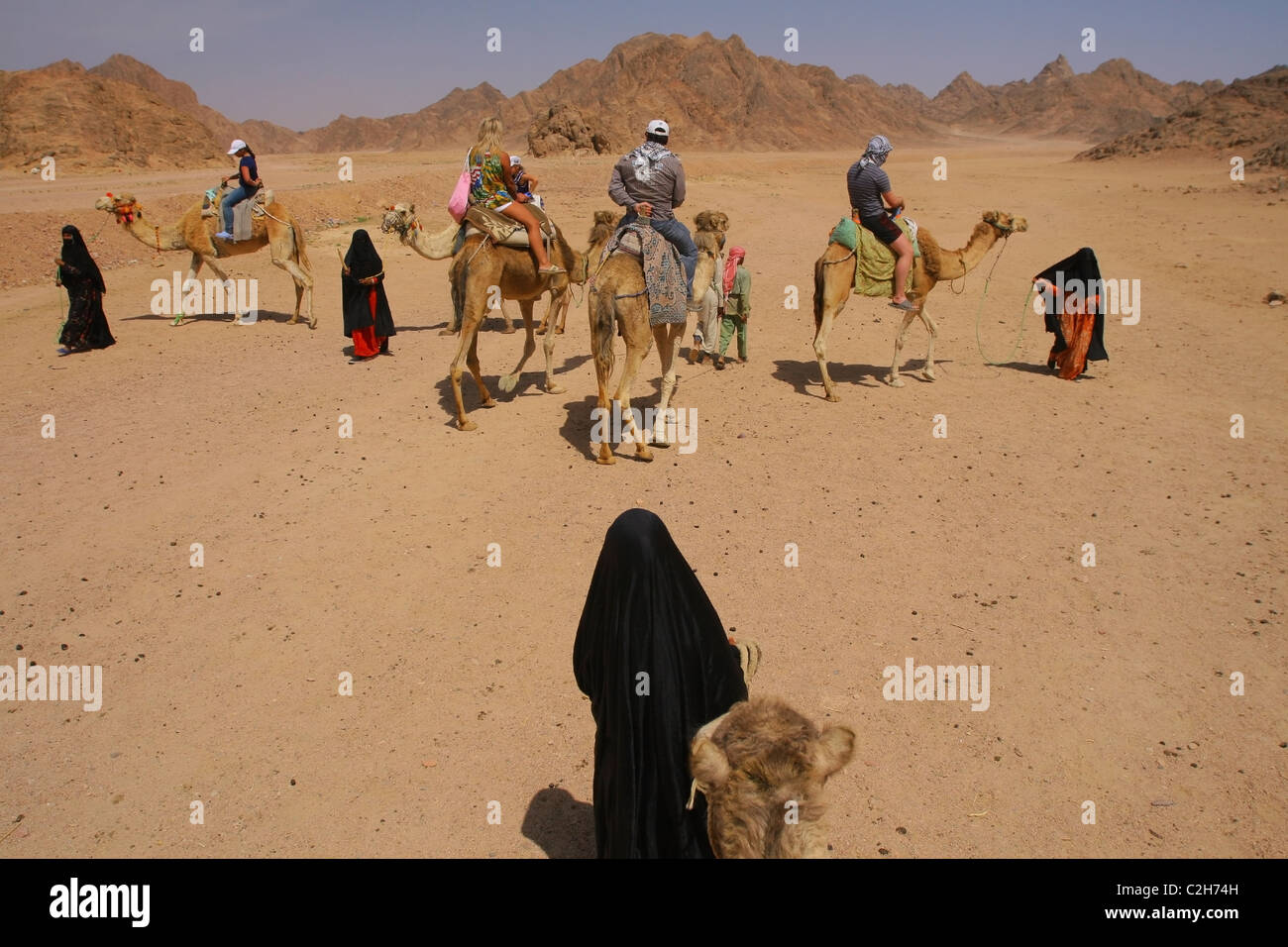 Frau Kamel-Treiber in traditioneller Tracht fahren Touristen. Wüste, Ägypten. Stockfoto