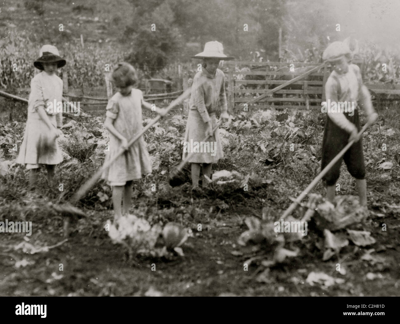 Kinder, die Hacken auf Bauernhof in der Nähe von Mt. Vernon, KY. Stockfoto