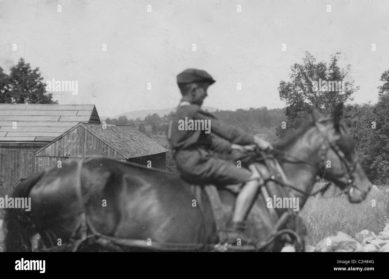 Elfjährige Wason, Pferd zum Feld fahren. Stockfoto
