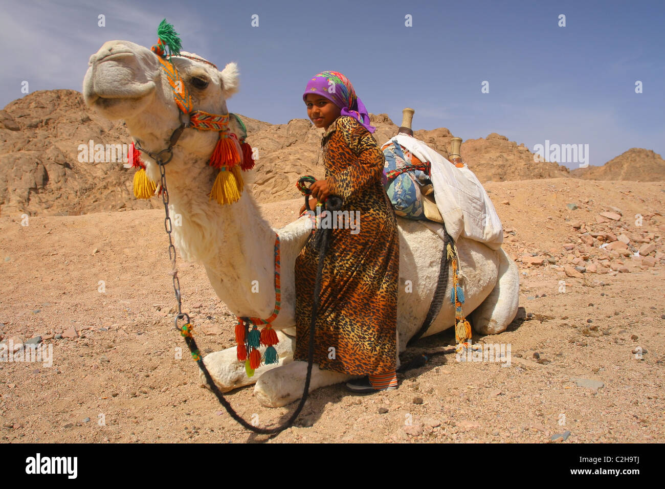 Beduinenmädchen stehen neben einem Kamel. Wüste, Ägypten. Stockfoto