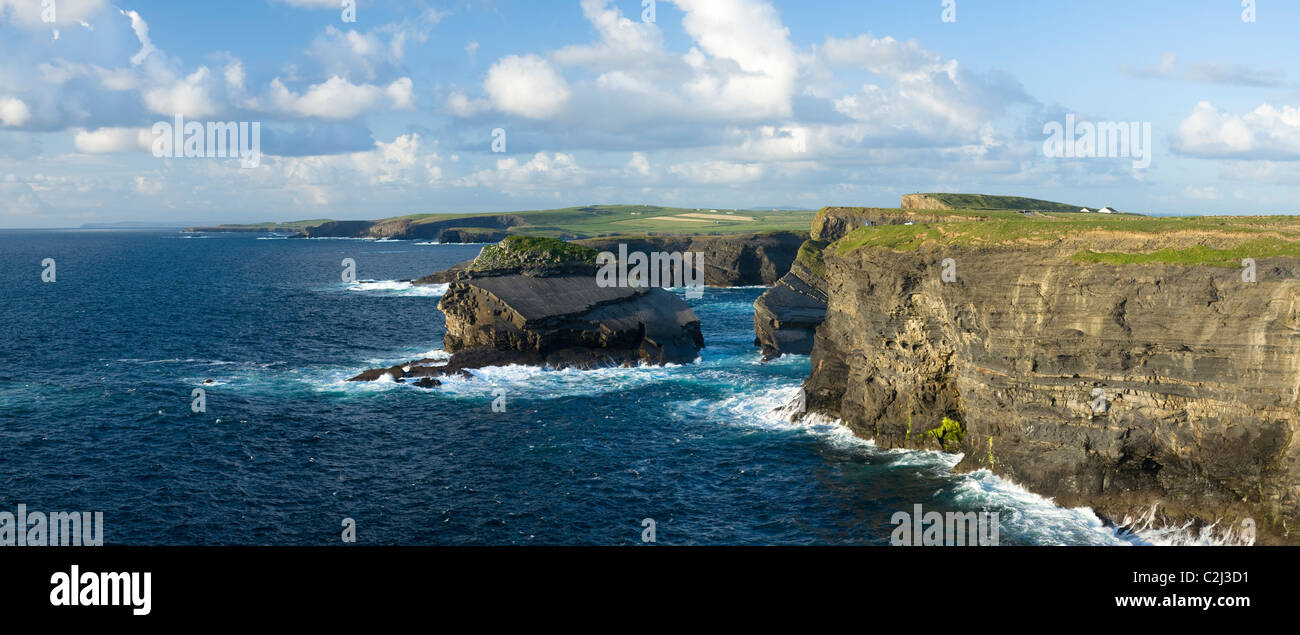 Atlantic Klippen und die Küste in der Nähe von Loop Head, County Clare, Irland. Stockfoto