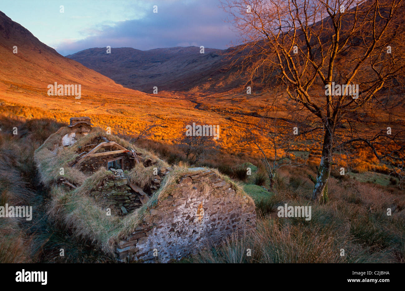 Einsame farm house in der Sruell Tal, Bluestack Mountains, County Donegal, Irland. Stockfoto