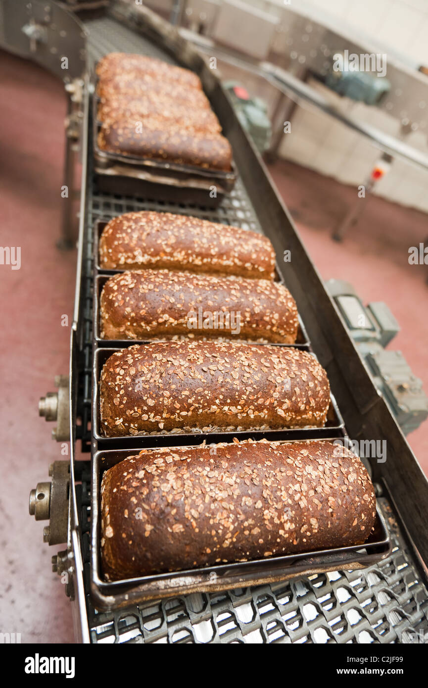 Brote von Brot in einer Fabrik Stockfoto