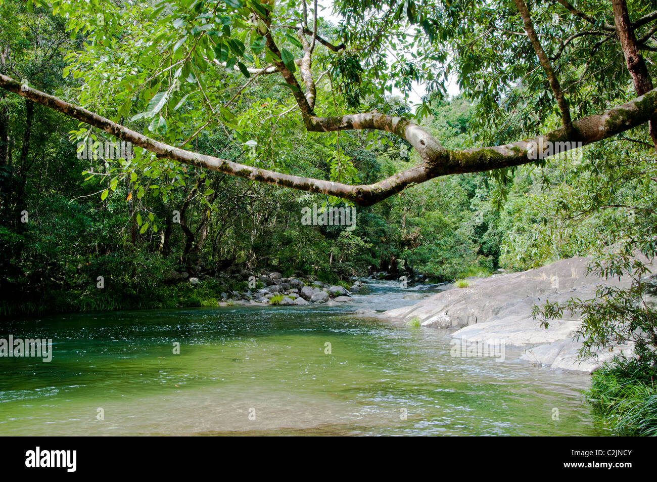 Mossman River, Silky Oaks Lodge, Mossman, Queensland, Australien. Stockfoto