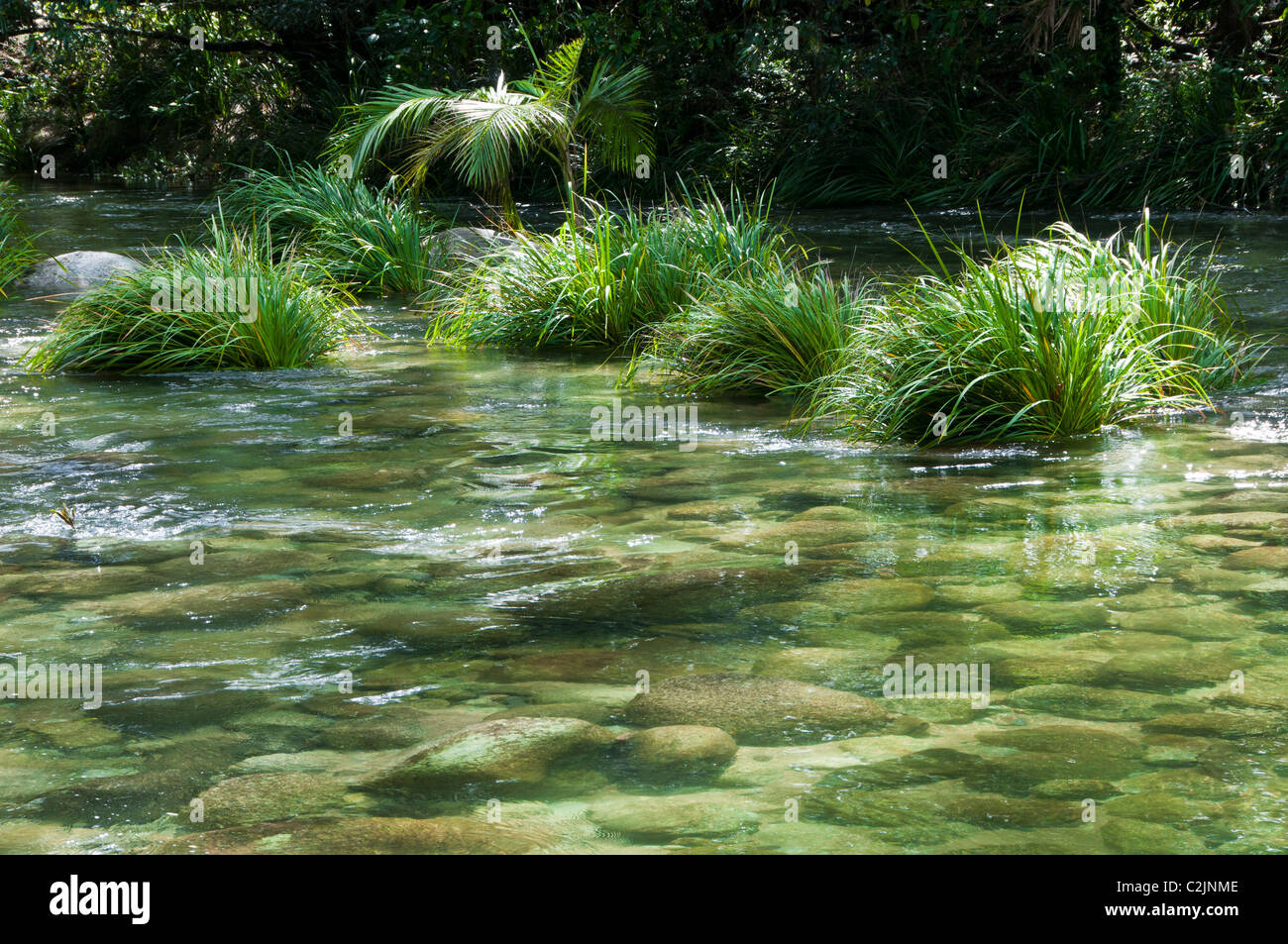 Mossman River, Silky Oaks Lodge, Mossman, Queensland, Australien. Stockfoto