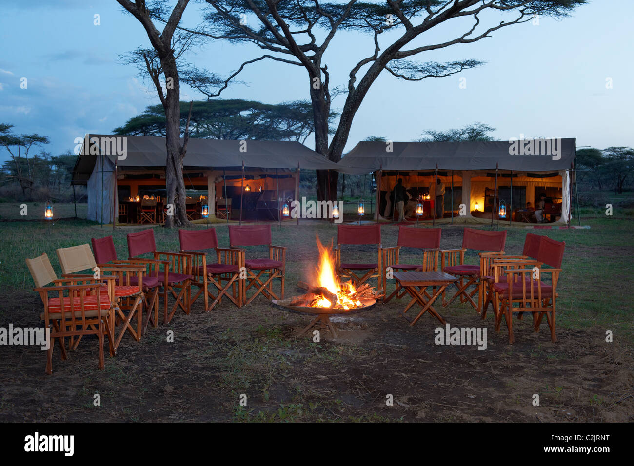 Stühle, Lagerfeuer, Hauptzelt unter Baum der Serengeti Safari eher Camp in der Wildnis der Serengeti, Tansania, Afrika Stockfoto