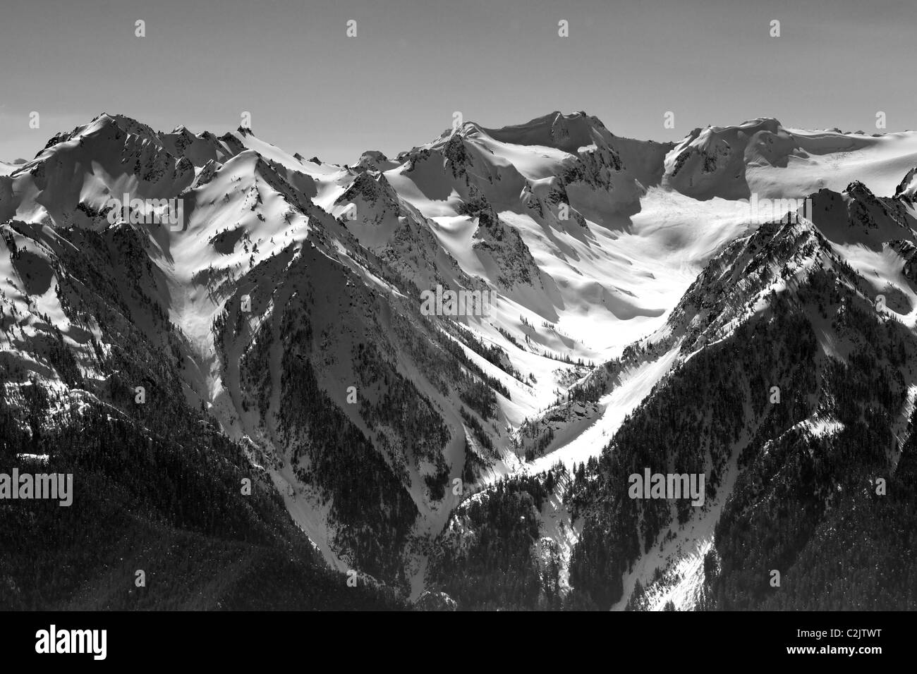 Schwarz / weiß Bild des Teiles des Hurrican Ridge der Olympischen Berge Stockfoto