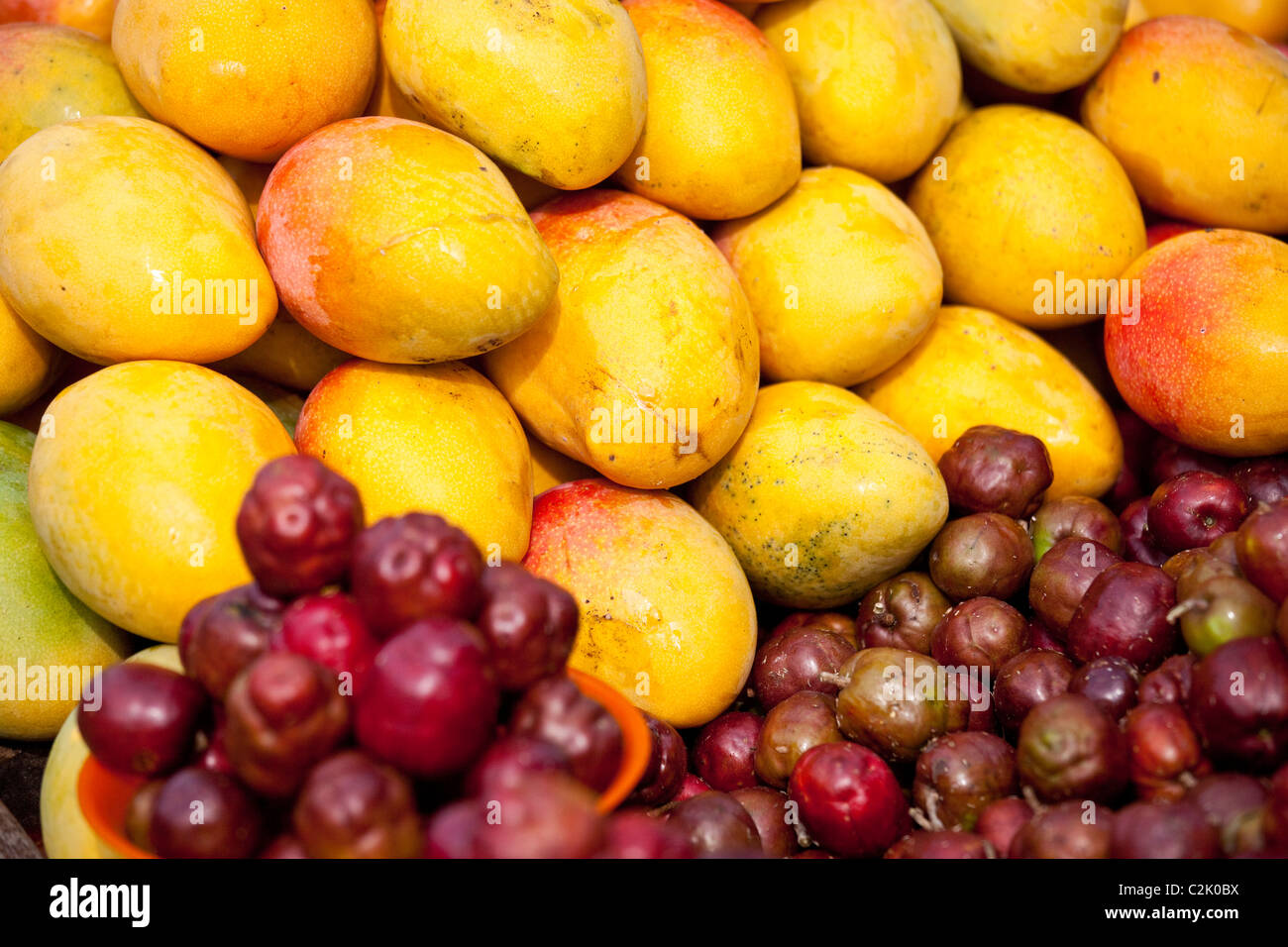 Mangos und Palmenfrucht (Corozo), Getsamani, Altstadt, Cartagena, Kolumbien Stockfoto