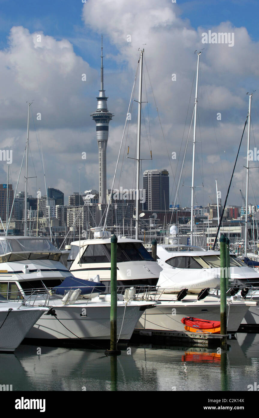 Motoryachten ankern in Aucklands Westhaven Marina mit Auckland Sky Tower im Hintergrund Stockfoto