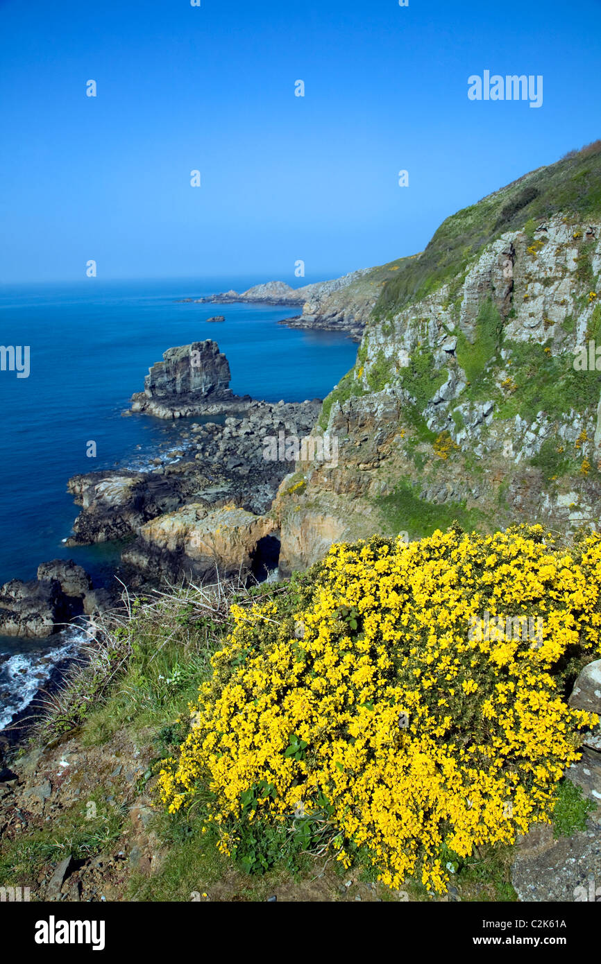 Les Autelets stapelt Klippen Küstenlandschaft Westküste Kanalinseln Sark Insel Stockfoto