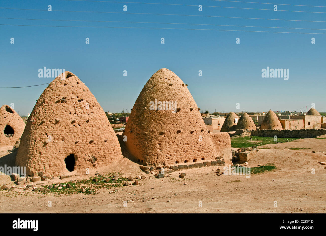 Syrienwüste Badiyat al Sham, Bauernhof Schafe, Kultur, Beduinen Beduinen Dörfer, Mann Frau, Syrischen Nahen Osten Stockfoto