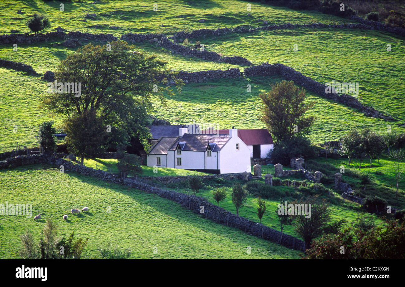 Ländlichen Bauernhof und grüne Felder an der Basis der Mourne Mountains, County Down, Nordirland. Stockfoto