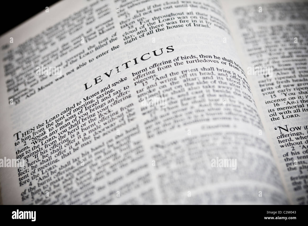 Die neue American Standard Bible öffnen, um das Buch Levitikus Stockfoto